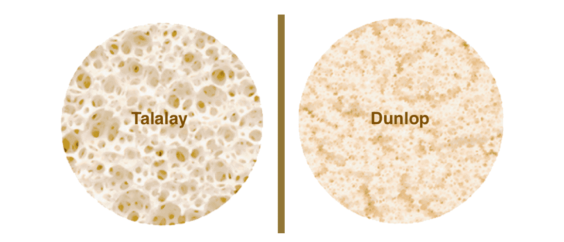 Dunlop Method vs Talalay Method