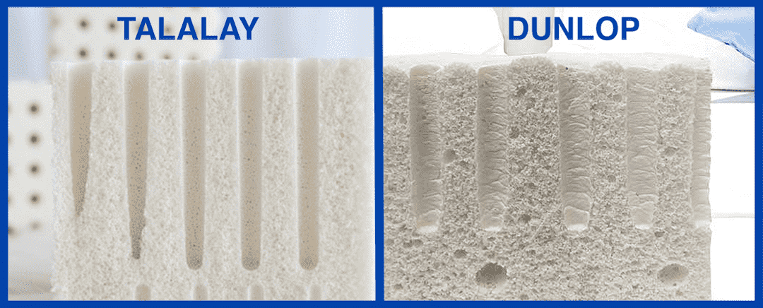 Talalay Latex vs Dunlop Latex